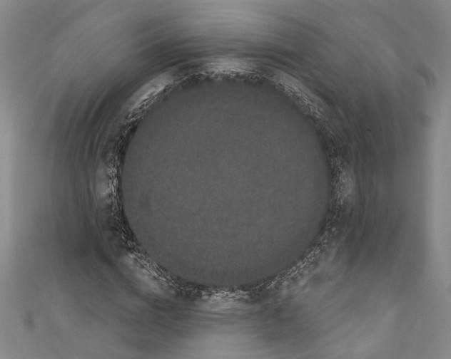 X0000110960824200907171647