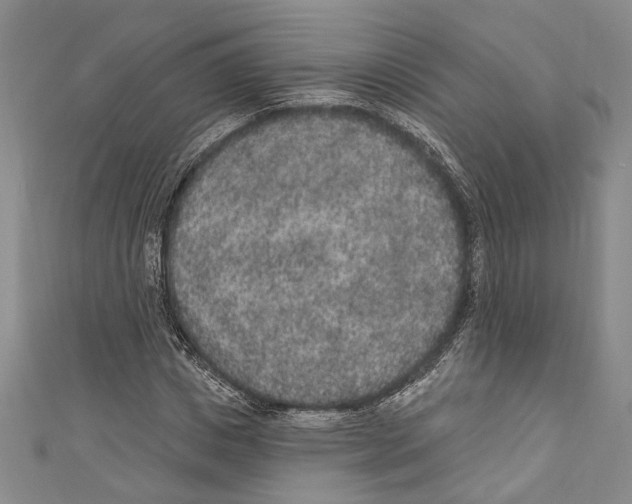 X0000110960825200907171647