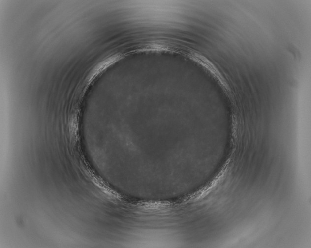X0000110960826200907171647