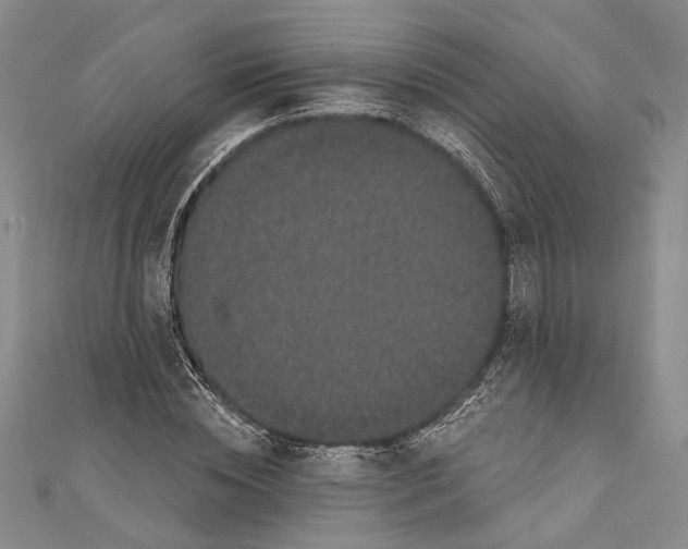 X0000110960828200907171647
