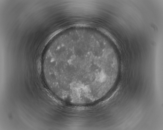 X0000110960829200907171647