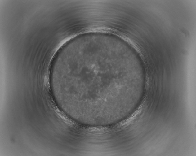 X0000110960830200907171647