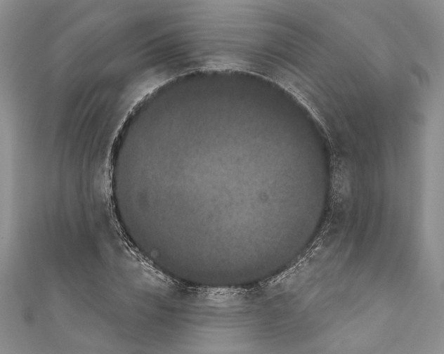 X0000110960832200907171647