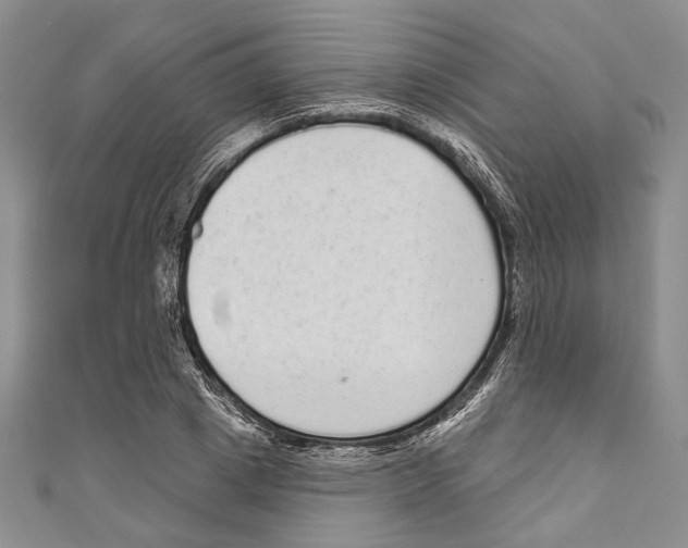X0000110960833200907171647