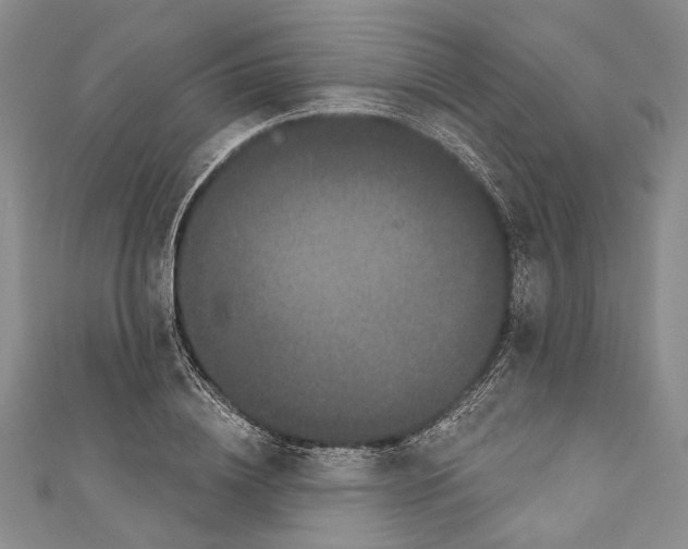 X0000110960836200907171647