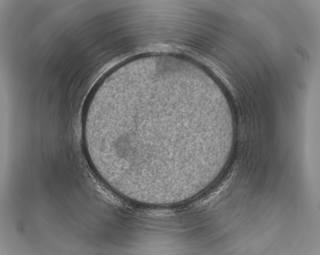 X0000110960837200907171647