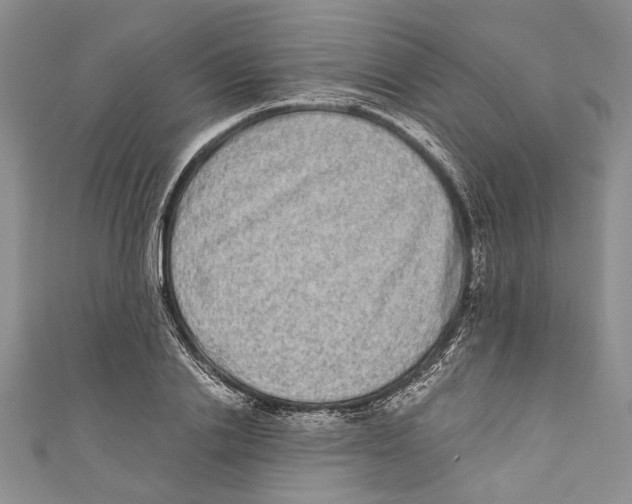 X0000110960838200907171647