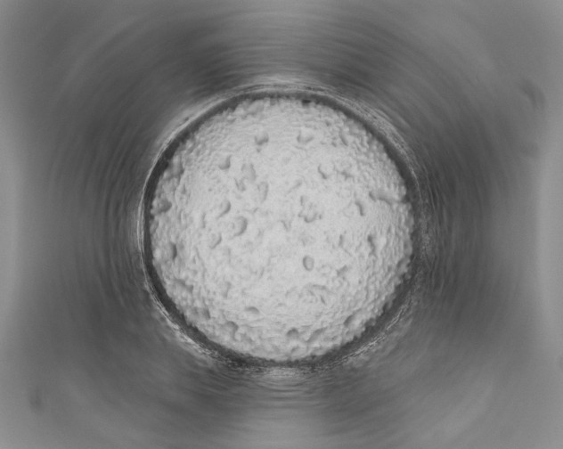 X0000110960839200907171648