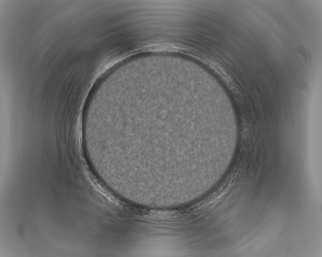 X0000110960840200907171648