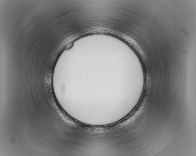 X0000110960841200907171648