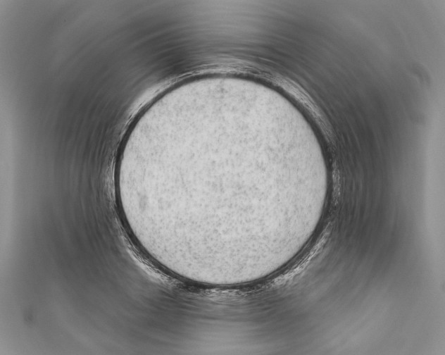 X0000110960842200907171648