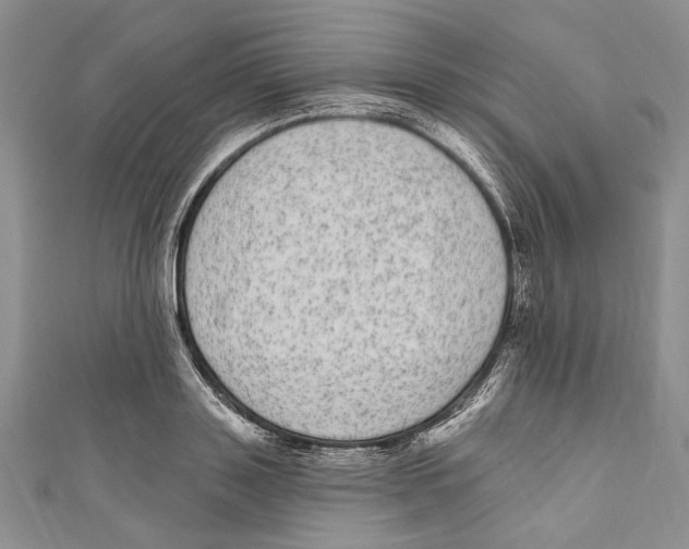 X0000110960843200907171648