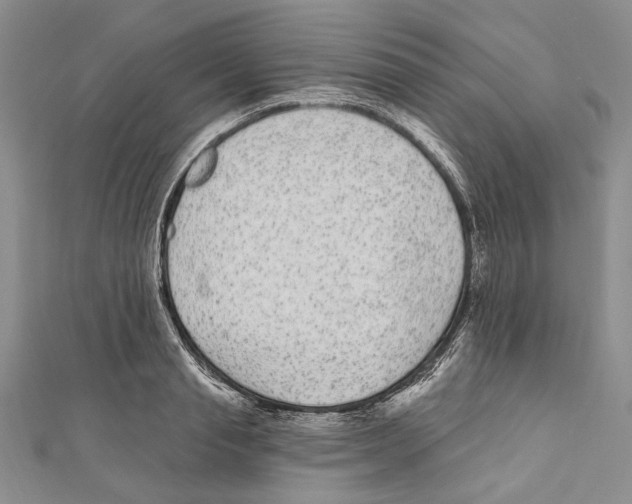 X0000110960845200907171648