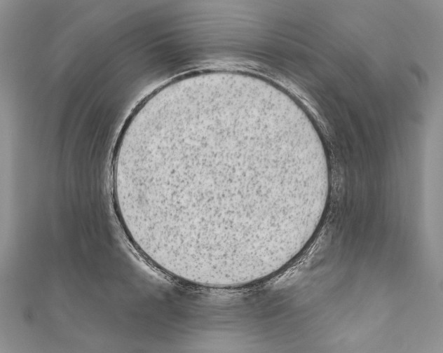 X0000110960848200907171648