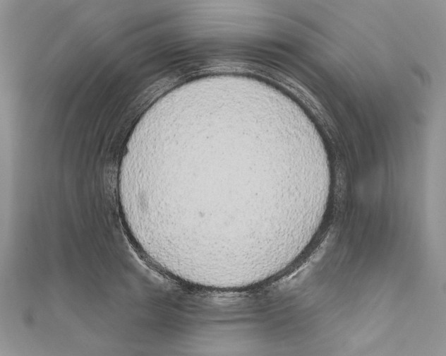 X0000110960849200907171648