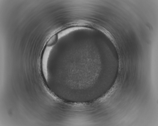 X0000110960850200907171648