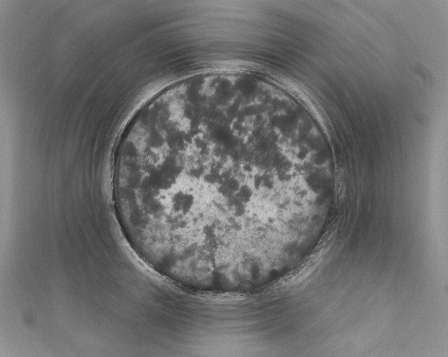 X0000110960851200907171648