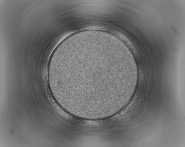 X0000110960852200907171648