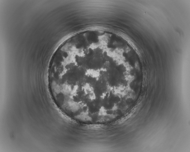 X0000110960853200907171648
