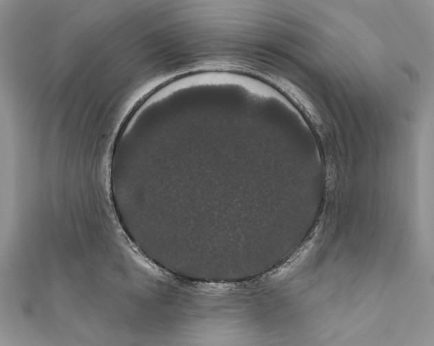 X0000110960854200907171648
