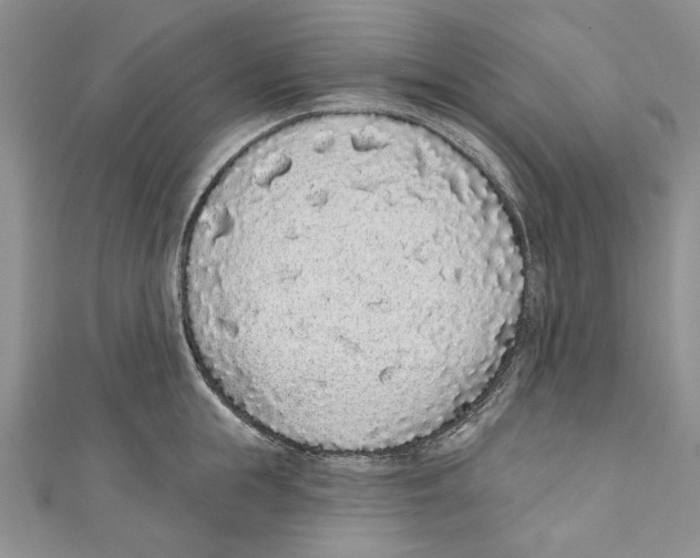 X0000110960855200907171648