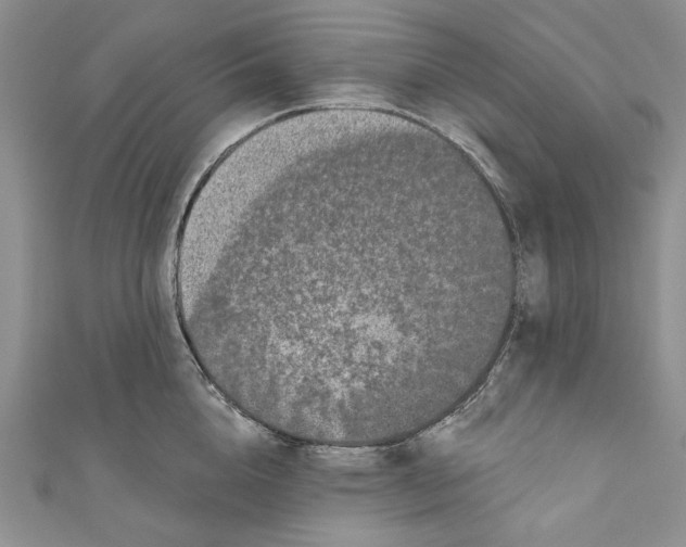 X0000110960856200907171648