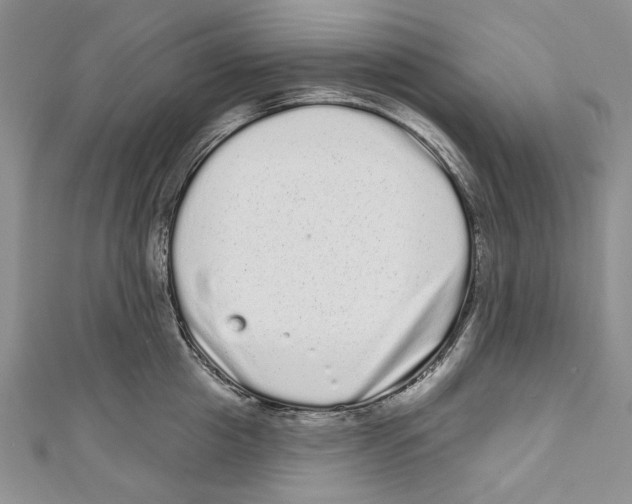 X0000110960857200907171648