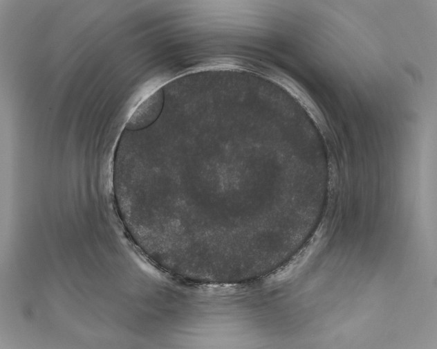 X0000110960858200907171648