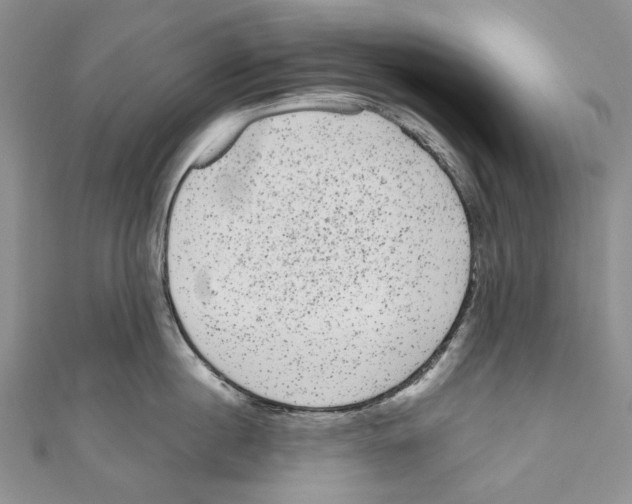 X0000110960860200907171648