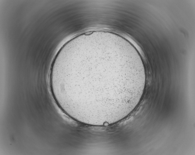 X0000110960861200907171648
