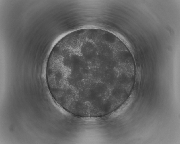 X0000110960862200907171648