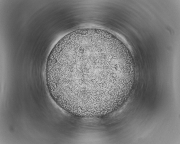 X0000110960863200907171648