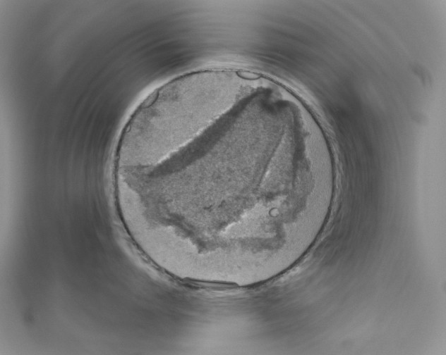 X0000110960864200907171648