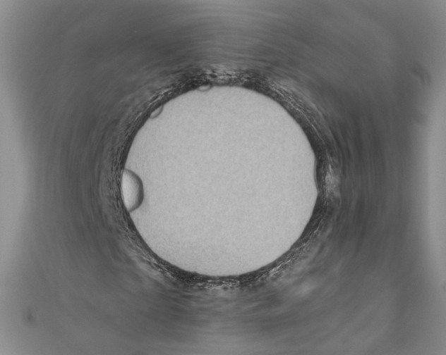 X0000110960865200907171647