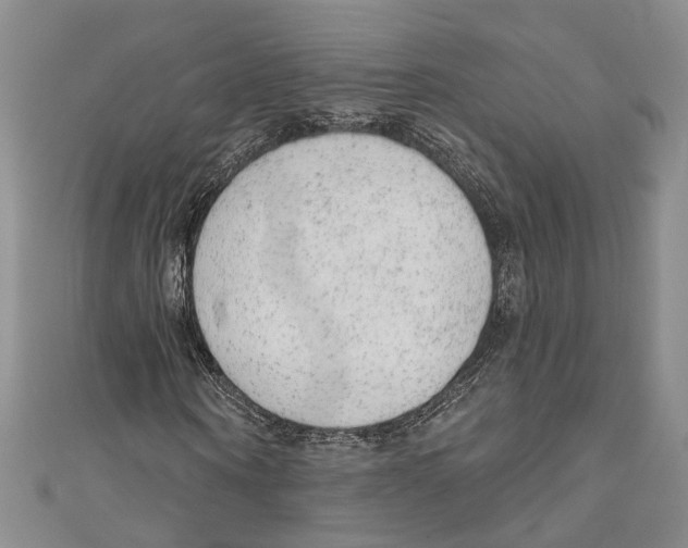 X0000110960866200907171647
