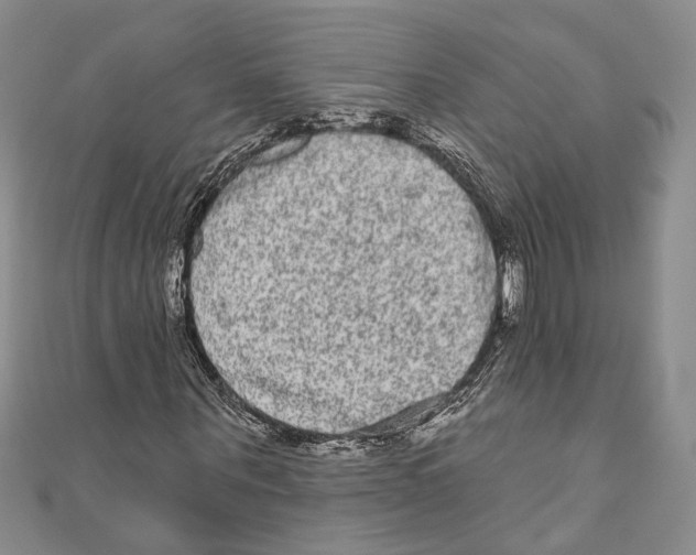 X0000110960867200907171647