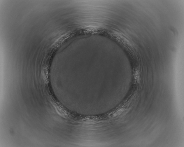 X0000110960868200907171647