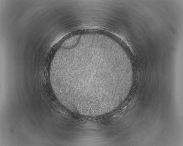 X0000110960871200907171647