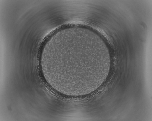 X0000110960872200907171647