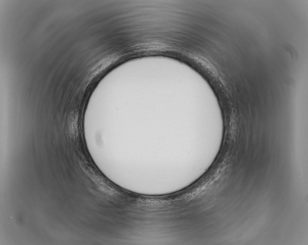 X0000110960873200907171647