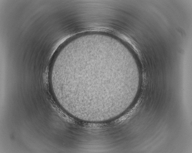 X0000110960875200907171647