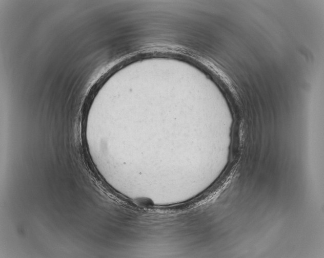 X0000110960877200907171647