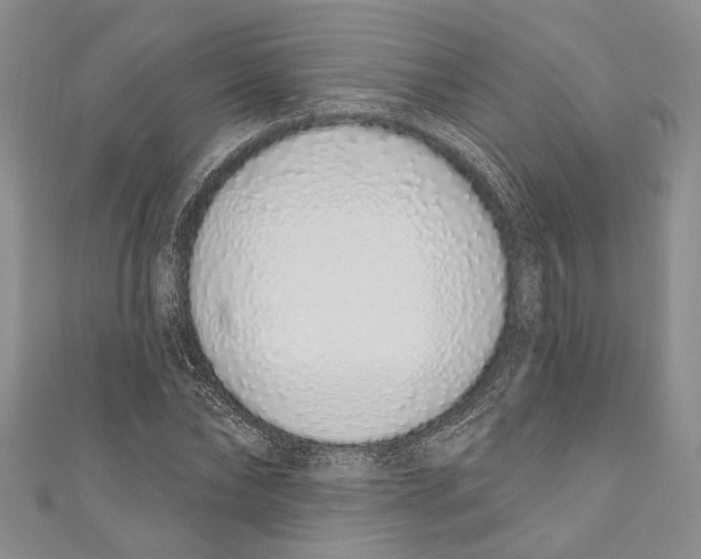X0000110960878200907171647
