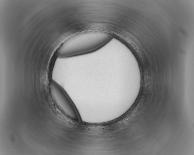 X0000110960880200907171647
