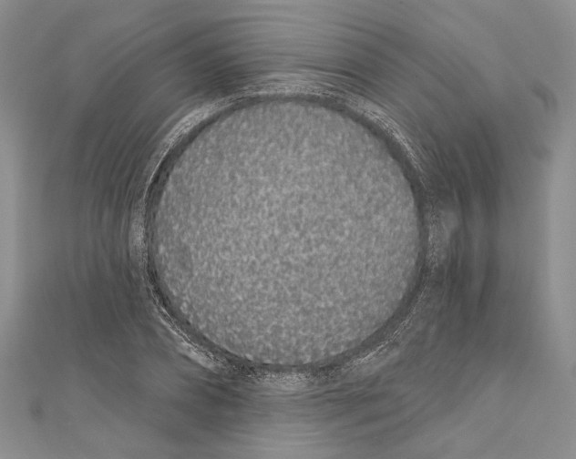 X0000110960882200907171647