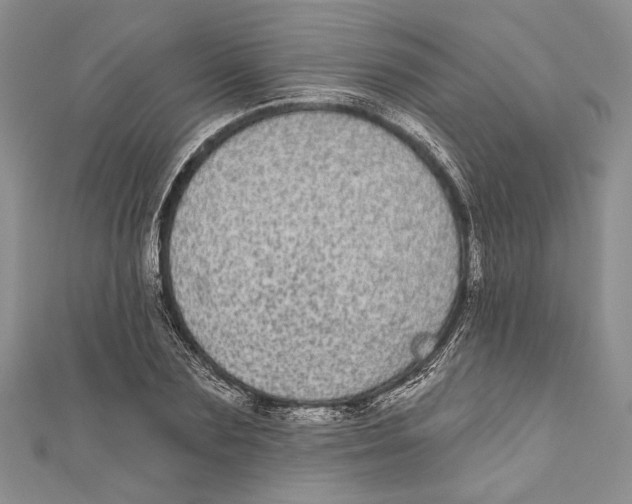 X0000110960883200907171647