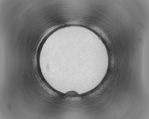 X0000110960884200907171647