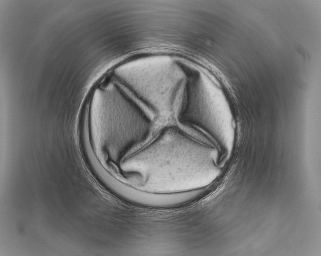 X0000110960885200907171647