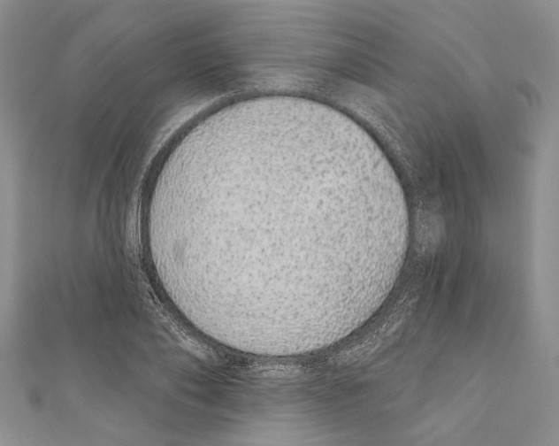 X0000110960886200907171647
