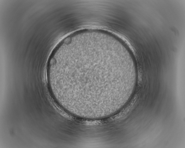 X0000110960887200907171647